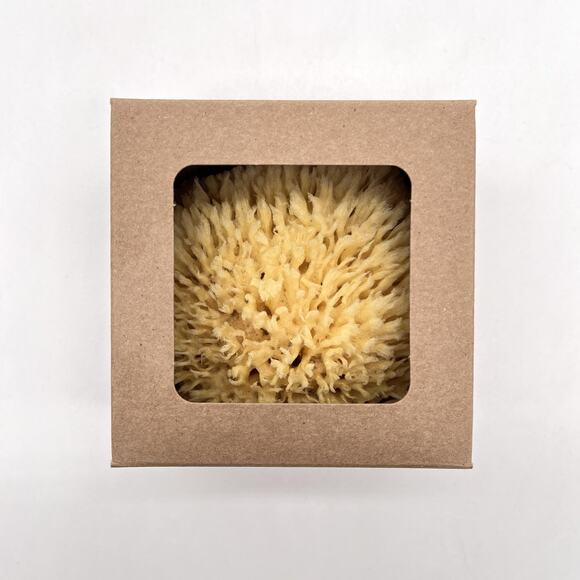 BAUDELAIRE Wool Sea Sponge Natural Small Bath Eco-Friendly USA 4.5in NEW - Picture 2 of 7